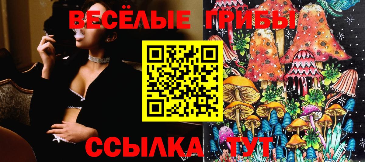 купить  сайты  Псилоцибиновые грибы Psilocybine cubensis  Краснознаменск  Вход с VPN  Псилоцибиновые грибы Cubensis 